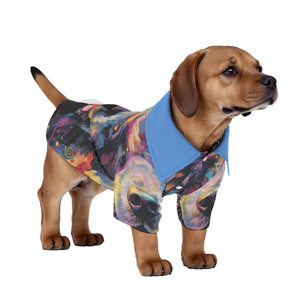 Big Bark Pet‘s Hawaiian Shirt